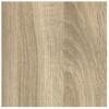 Sandy Oak